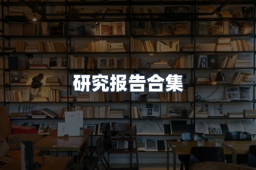 研究报告合集